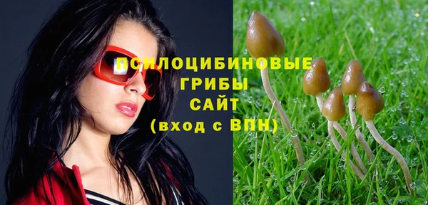 индика Армянск