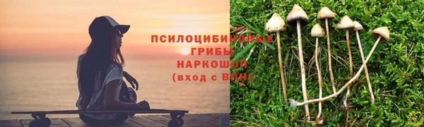 ПСИЛОЦИБИНОВЫЕ ГРИБЫ Арсеньев