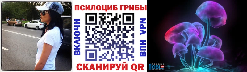 Псилоцибиновые грибы Psilocybine cubensis  Боровичи 